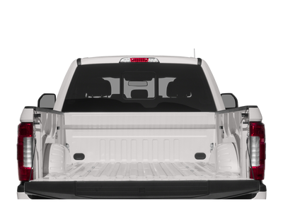 2019 Ford Super Duty F-250 Pickup Platinum